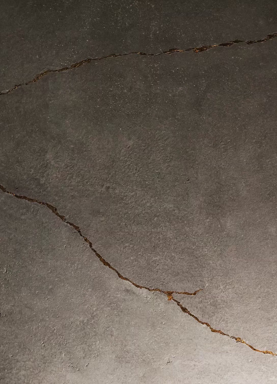 LINE_ALBUM_ロザン_250830_1_0