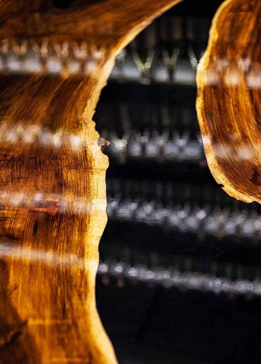 LINE_ALBUM_ロザン_250830_5_0